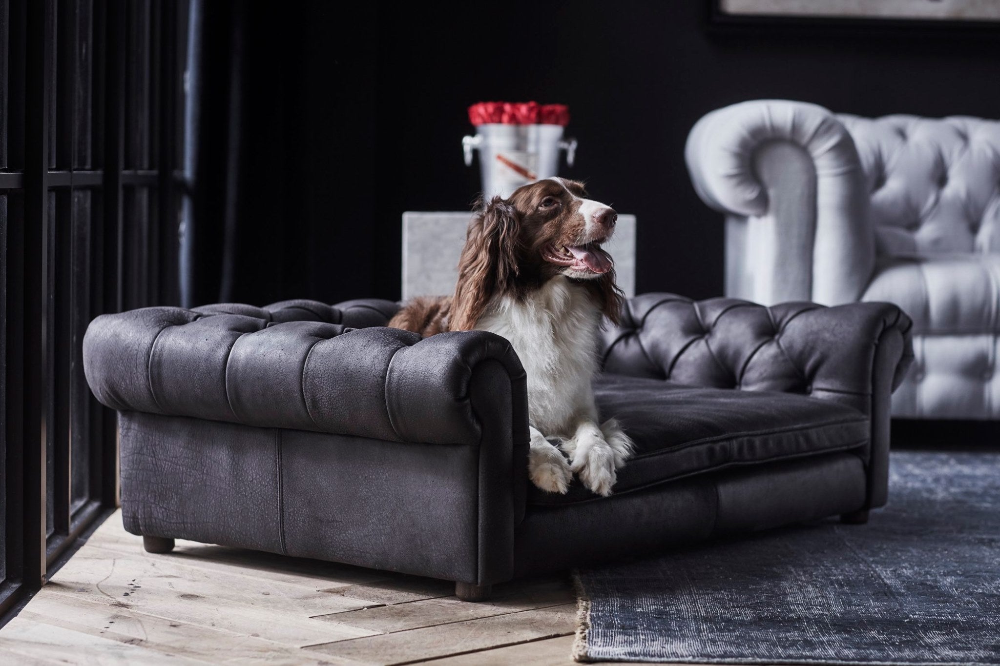 Victorian Dog Bed Safari Black - Suede
