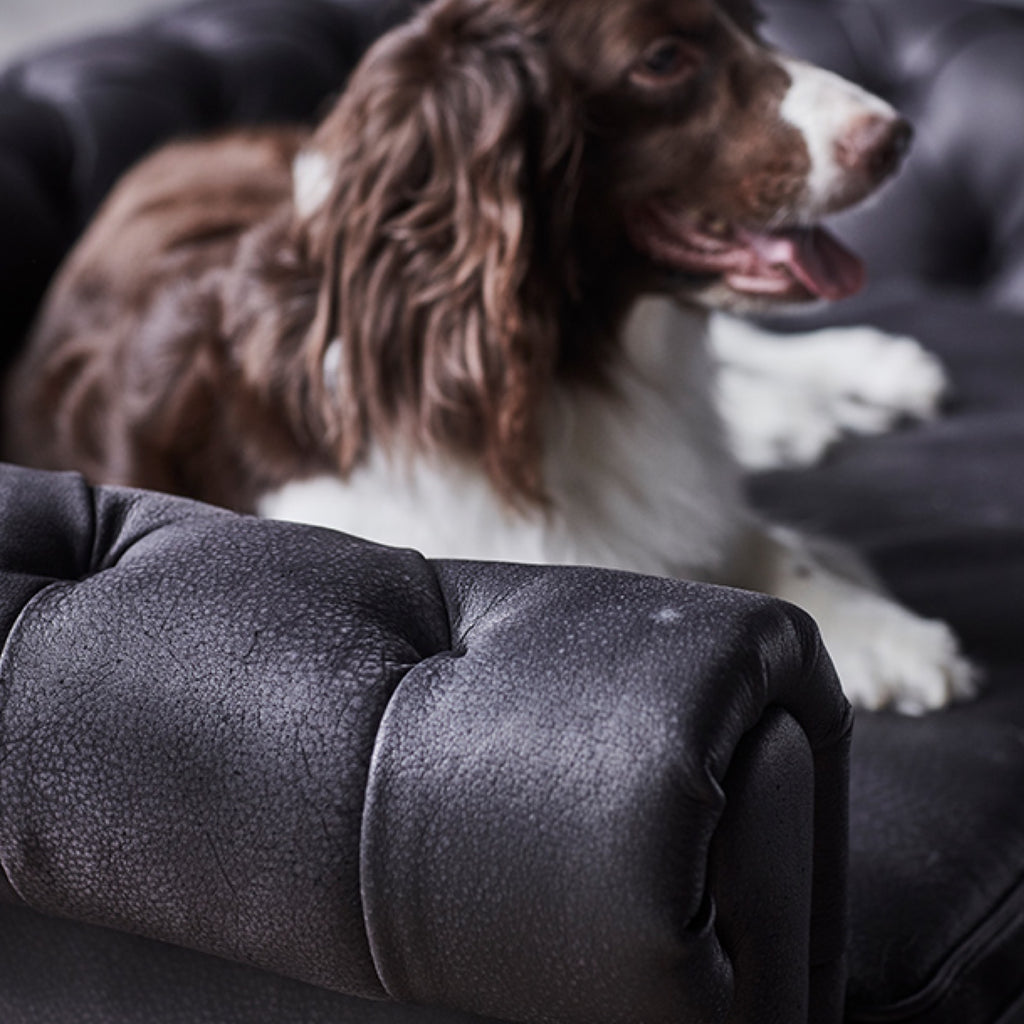 Victorian Dog Bed Safari Black - Suede