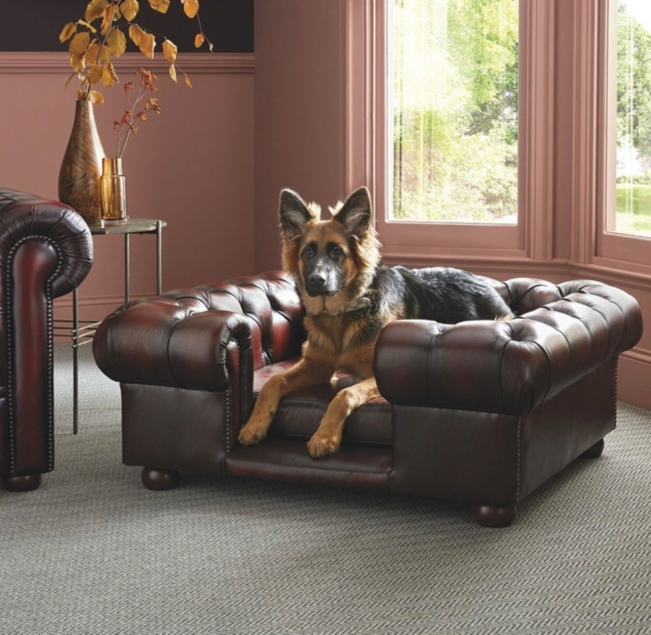 Lincoln Dog Bed Brown Leather
